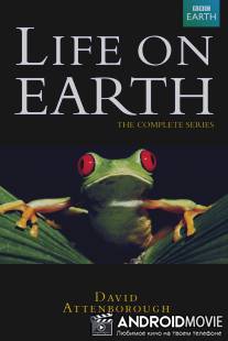 Жизнь на Земле / Life on Earth