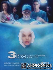 3 Фунта / 3 lbs.