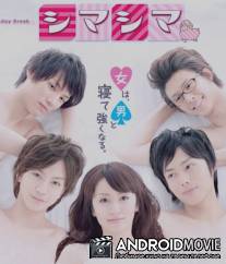 Агентство 'Полосатая овечка' / Shima shima