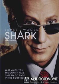 Акула / Shark
