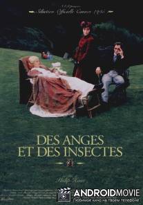 Ангелы и насекомые / Angels and Insects