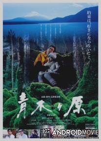 Аокигахара / Aokigahara