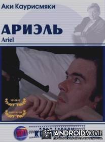 Ариэль / Ariel