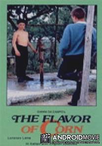 Аромат кукурузы / Il sapore del grano