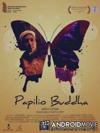 Бабочка-Будда / Papilio Buddha