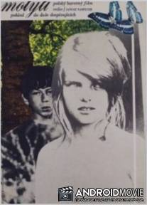 Бабочка / Motyle