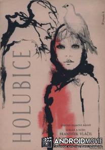 Белая голубка / Holubice