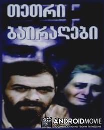 Белые флаги / Tetri bairagebi