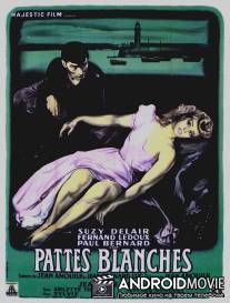 Белые лапки / Pattes blanches