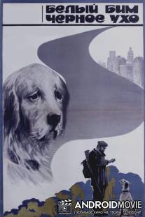 Белый Бим Черное ухо / Belyy Bim - Chyornoe ukho