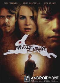 Белый кролик / White Rabbit
