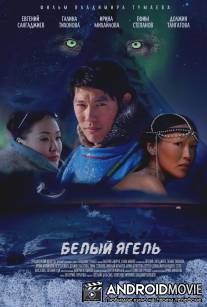 Белый ягель / Beliy yagel