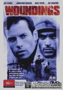 Битва за новый мир / Woundings