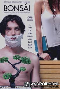 Бонсай / Bonsai