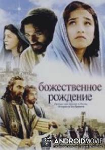 Божественное рождение / Nativity Story, The