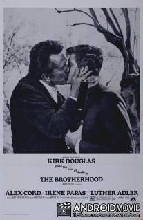 Братство / Brotherhood, The