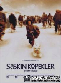 Бродячие собаки / Sag-haye velgard