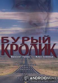 Бурый кролик / Brown Bunny, The