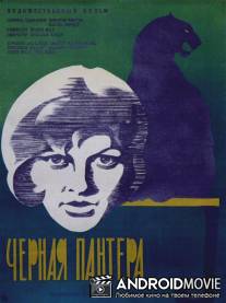 Черная пантера / Schwarze Panther