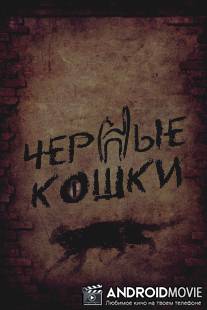 Черные кошки / Chernye koshki