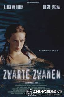 Черные лебеди / Zwarte zwanen