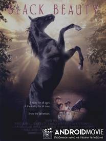 Черный красавец / Black Beauty