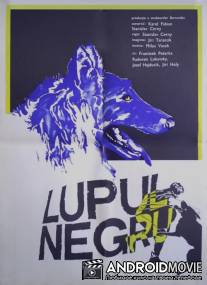 Черный волк / Cerný vlk