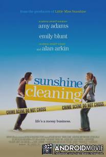 Чистка до блеска / Sunshine Cleaning