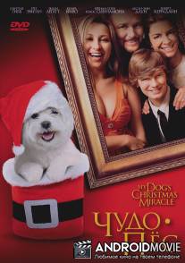Чудо-пес / My Dog's Christmas Miracle