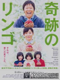 Чудо-яблоки / Kiseki no ringo