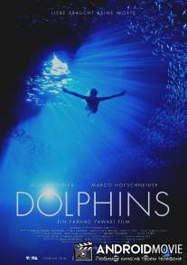 Дельфины / Dolphins
