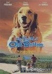 Дело старины Драма / Trial of Old Drum, The