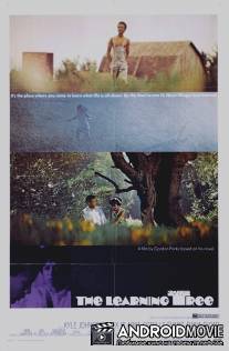 Дерево науки / Learning Tree, The