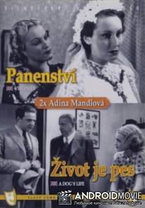 Девственность / Panenstvi