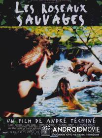 Дикий тростник / Les roseaux sauvages