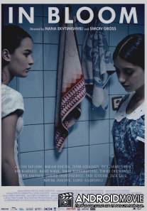 Длинные светлые дни / Grzeli nateli dgeebi