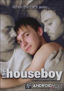 Домашний мальчик / Houseboy, The
