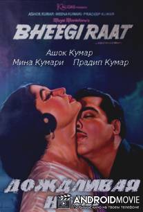 Дождливая ночь / Bheegi Raat
