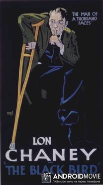 Дрозд / Blackbird, The