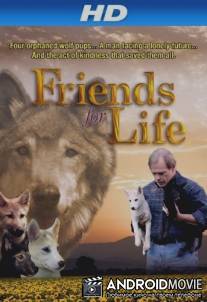 Друзья навек / Friends for Life