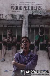 Дятлы / Carpinteros