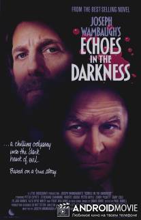 Эхо в темноте / Echoes in the Darkness