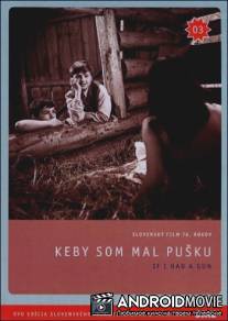 Если бы у меня было ружье / Keby som mal pusku