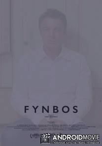 Финбос / Fynbos