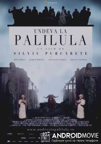 Где-то в Палилула / Undeva la Palilula