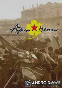 Госпожа Айхан / Ayhan Hanim