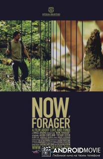 Грибники / Now, Forager