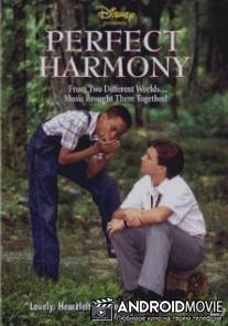 Идеальная гармония / Perfect Harmony