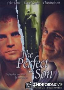 Идеальный сын / Perfect Son, The