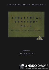 Индустриальная симфония №1: Сон девушки с разбитым сердцем / Industrial Symphony No. 1: The Dream of the Broken Hearted
